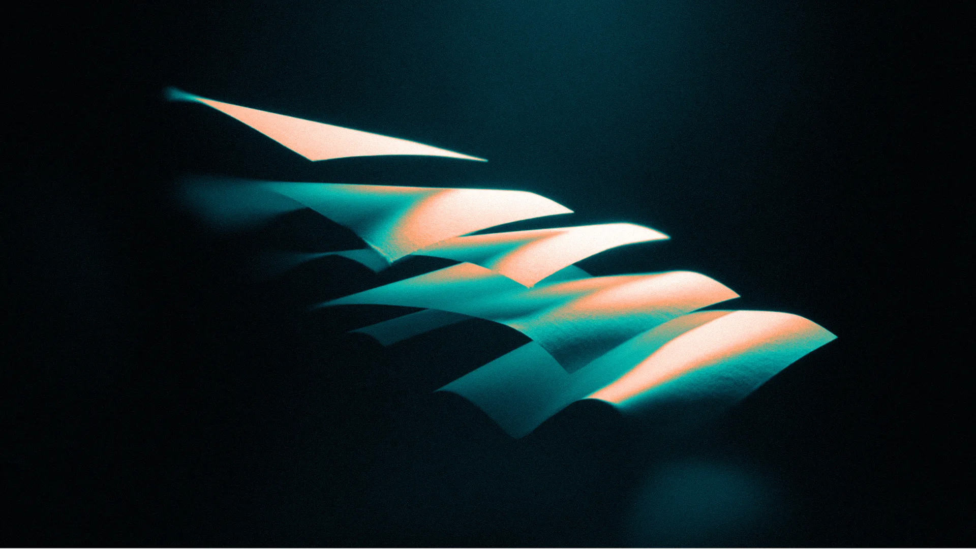 Health Coin – visual identity light – image 12